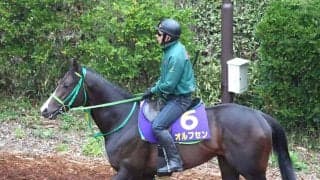【青葉賞・坂本の特注馬】魅力あふれる“ダイヤの原石”オルフセン　適性の高い東京コースで輝き増す