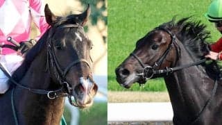 ケンタッキーダービーのＪＲＡ海外馬券発売が決定　日本からダノンバーボン、ワンダーディーンが参戦    　