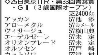 【青葉賞展望】２連勝中のブラックオリンピアが中心　重賞好走のゴーイントゥスカイが続く
