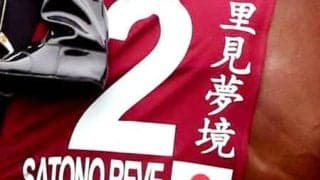 サトノレーヴは里見夢境＆ジャンタルマンタルは遠觀天象　蒙面舞會は？　チャンピオンズデーでの日本馬の香港表記　