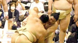 幕内・平戸海が２６歳の誕生日「もういい年。三役へ復帰したい」