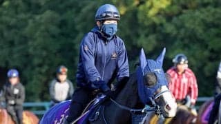 【香港・ＱＥ２世Ｃ】世界最高賞金ホースに挑戦するマスカレードボール　手塚久調教師は「胸を借りる立場」と話すが...