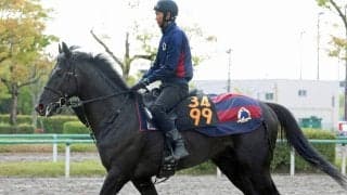 【青葉賞】森一調教師「東京向きの馬」＆レーン騎手と新コンビ　無傷３連勝でノーブルサヴェージがダービーの権利取りへ