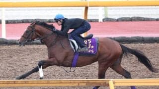 【読売マイラーズＣ】Ｇ１馬アドマイヤズームが武豊騎手と反撃へ　陣営「この馬はこんなものじゃない」