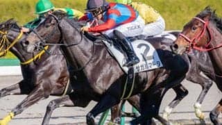 【青葉賞】セレクト5.2億円のサガルマータ 史上最高価格のJRA重賞勝ち馬となるか