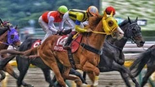 【先週のJRA抹消馬】22年の菊花賞・有馬記念で2着のボルドグフーシュ、芝中距離で重賞3勝のヨーホーレイクなど