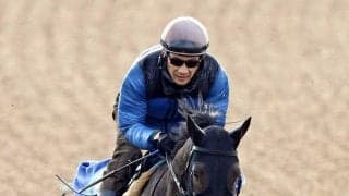 【注目馬動向】ダイヤモンドＳ２着のファイアンクランツは目黒記念へ