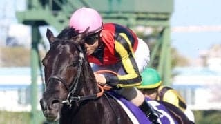 【天皇賞・春】大阪杯Ｖクロワデュノールがレーティングトップ１２２　昨年の覇者ヘデントールが１１８で続く　