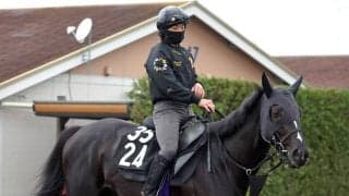 【青葉賞】ダービーへ負けられない一戦「自分の力で切符をつかんでほしいですね」　陣営も成長感じるブラックオリンピア