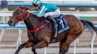 【QE2世C】歴代獲得賞金世界トップのロマンチックウォリアー フォーエバーヤングを突き放すG1・14勝目なるか