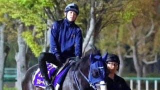 【香港・ＱＥ２世Ｃ】日本中距離界のエース・マスカレードボールが香港の英雄に挑戦　１５日国内最終追い切りで自己ベスト