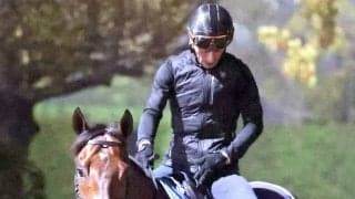 【香港・チェアマンズＳＰ】世界史上最強スプリンターに挑む日本短距離王サトノレーヴに不安なし