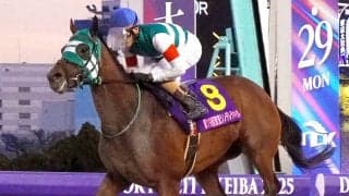 あす浦和競馬１１Ｒ「報知杯しらさぎ賞」力が違うホーリーグレイル