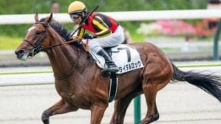 【青葉賞】叔父はGI・3勝のクロワデュノール タイダルロックが重賞初制覇狙う