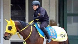 【注目馬動向】マーチＳ４着のヴァルツァーシャルは平安Ｓを視野に