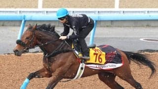 牝馬重賞戦線で活躍したフィールシンパシーが引退　岡田スタッドで繁殖入りへ