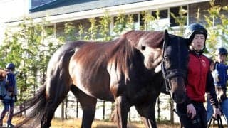 【注目馬動向】皐月賞４着アスクエジンバラは岩田康誠騎手で日本ダービーへ　福永調教師「次はもう一段、上げて使える」