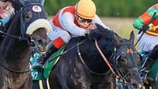 【マイラーズC】セレクト5.1億円のショウナンアデイブ 史上最高価格のJRA重賞勝ち馬となるか