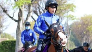 【注目馬動向】東京スプリント５着ママコチャはさきたま杯を視野に　池江調教師「ダートでも走れるところを見せたい」