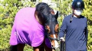 【注目馬動向】アドマイヤクワッズは状態が整えばＮＨＫマイルＣへ　皐月賞１５着は友道調教師「距離適性の差かな」