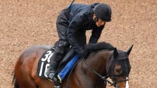 【注目馬動向】デビューから無傷２連勝でチャーチルダウンズＣを勝利　アスクイキゴミはＮＨＫマイルＣへ　