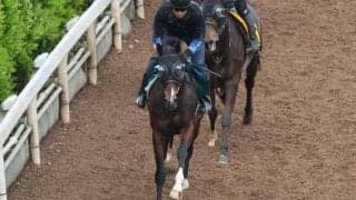 コンサートホールの2024(エルドボルグ)など、先週の入厩情報/栗東トレセンニュース