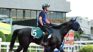 【香港ＱＥ２世Ｃ】陣営「輸送による疲労から回復した」　マスカレードボールはキャンターで調整　気になるのは天気...