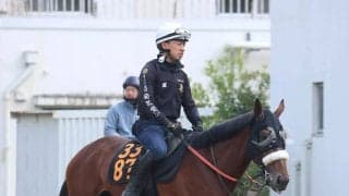 【青葉賞】武井調教師「ルメール騎手が東京で距離はもっとあった方がいいと言っていた」　タイダルロックに激走気配