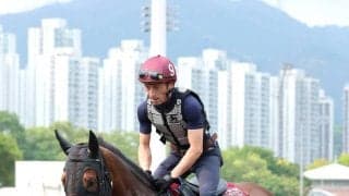 【香港チャンピオンズデー】サトノレーヴ陣営は「活気のある走り」　日本勢の現地での調整ぶりを香港ジョッキークラブが公開