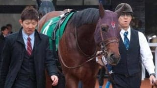 【青葉賞】武豊騎手が2年ぶり4勝目なるか ゴーイントゥスカイと初コンビで参戦だ