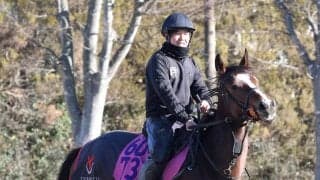 【注目馬動向】上原佑調教師「丹内騎手がすごく評価してくれている」　エンプレスケーは橘Ｓへ