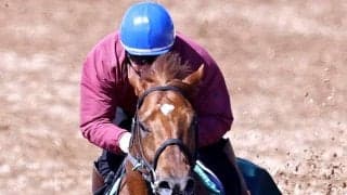 【青葉賞】厩舎開業２５年目で初のダービー出走へ「左回りの方がいい」と本間調教師も期待　ラストスマイルが虎視たんたん