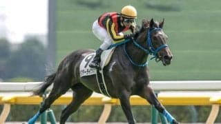 【フローラS予想オッズ】ラフターラインズが予想1番人気