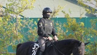 【青葉賞】ダービー３勝の名門厩舎が送り込むブラックオリンピアが重賞Ｖで本番へ　友道調教師「前走は期待通り」