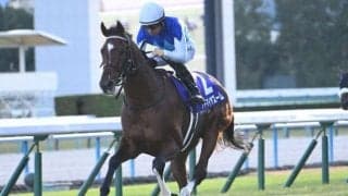 【マイラーズC予想オッズ】アドマイヤズームが予想1番人気