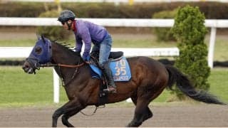 【読売マイラーズＣ】田中博調教師「スピード負けはしない」　シックスペンスが転厩初戦で重賞４勝目へ