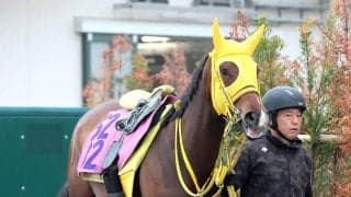 【フローラＳ】高木調教師「中山はコーナーがきつくてダメ...」　スタニングレディが新馬快勝以来の東京で巻き返す