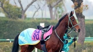 【フローラＳ】東京２０００で２連勝中！ファムクラジューズは闘争心マックス　黒岩調教師「気持ちで頑張ってくれる」