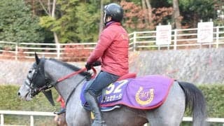 【青葉賞】芦毛のノチェセラーダがダービーの権利を取る！　杉山佳調教師「持久力を生かせる展開になれば」