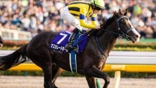 【QE2世C】マスカレードボールがドゥラメンテ産駒の海外G1初勝利なるか