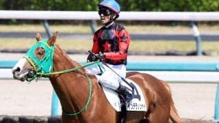【注目馬動向】ホリエモンこと堀江貴文氏の愛馬イッテラッシャイは鳳雛Ｓへ　斎藤誠調教師「今後も楽しみ」