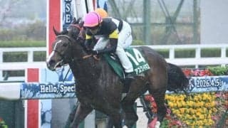 【NHKマイルC想定】アスクイキゴミ、レザベーションなど23頭