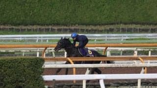 クロワデュノール、天皇賞(春)1週前追い切り速報/栗東トレセンニュース