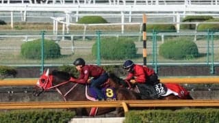 リアライズグリント、羽田盃追い切り速報/栗東トレセンニュース