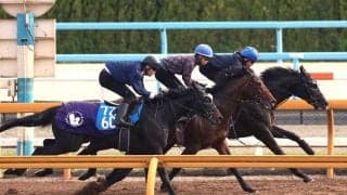 【天皇賞・春・１週前】クロワデュノールはＧ１連勝へ気合注入デモ　斉藤崇調教師「これで上がってくると思います」