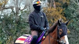 【注目馬動向】チェルヴィニアがヴィクトリアＭに向け美浦トレセンに帰厩