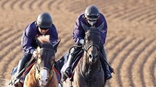 【天皇賞・春・１週前】ヘデントールは連覇へ調整狙い通り　陣営「トップスピードのまま長く走らせることができた」