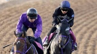 【フローラＳ】荻野極騎手「確実に上向いているが…」　デビュー戦を圧勝のラベルセーヌは精神面がカギ