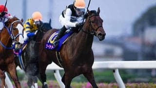 【浦和・しらさぎ賞結果】ツーシャドーが2番手から押し切り重賞2勝目を挙げる