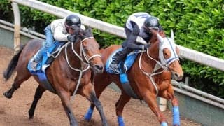 【読売マイラーズＣ】超異例！！当該週の併せ馬でウォーターリヒトが急上昇　石橋調教師「状態も上がってきたね」